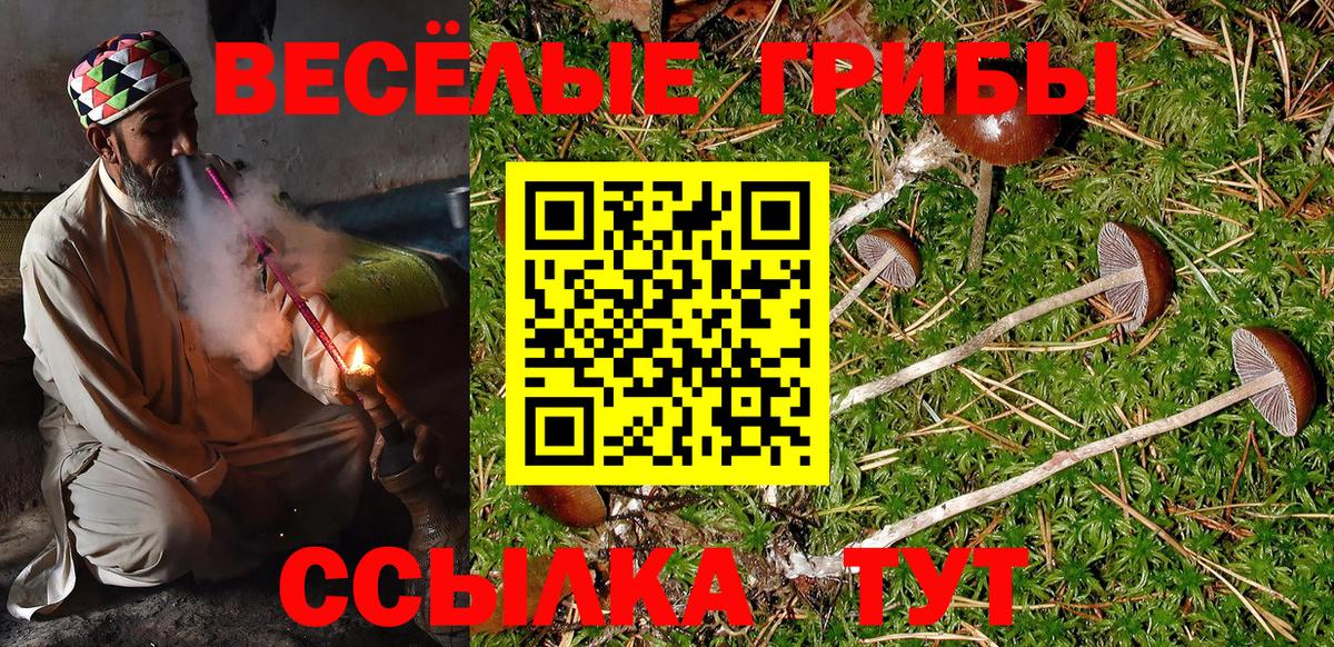 Псилоцибиновые грибы MAGIC MUSHROOMS Ухта